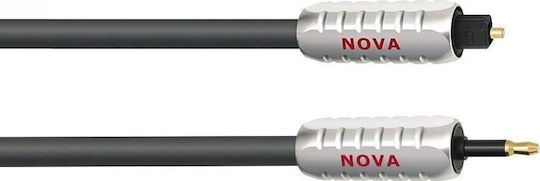 Wireworld Optical Audio Cable TOS male - mini TOS male Μαύρο 1m ()