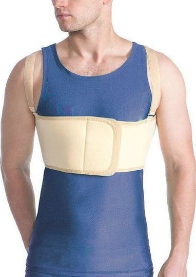 Alfa Care AC-1090 Elastic Post-operative Belt Rib for Men in Beige color