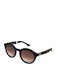 Rebecca Blu Women's Sunglasses with Black Horn-Rimmed Frame RB8593 RK01