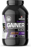 Warrior Lab Complete Gainer Glutenfrei mit Geschmack Schokolade 1.5kg