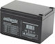 Energenie Baterie UPS cu Capacitate 12Ah și Tensiune 12V BAT-12V12AH 1buc