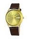 Festina Watch Battery with Brown Leather Strap F6838/2