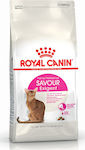 Royal Canin Feline Preference Savour Exigent Dry Food for Adult Cats with Poultry 4kg