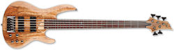 LTD electric bass B-205 SM