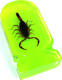 Dekoration Skorpion Mini