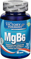 Weider MgB6 90 Mützen