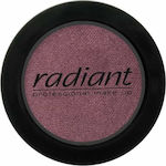 Radiant Professional Color Shimmer Eye Shadow Pressed Powder 276 4gr