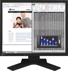 Eizo S1934H IPS Монитор 19" 1280x1024 с Време за Реакция 14мс GTG