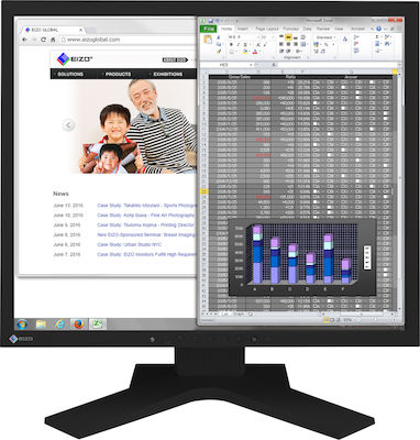 Eizo S1934H IPS Monitor 19" 1280x1024 cu Timp de Răspuns 14ms GTG