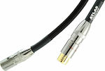 Atlas Cables Cable XLR male - XLR female 0.5m (Mavros)