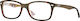 Ray Ban Κοκκάλινος Σκελετός Καφέ Ταρταρούγα RB5...