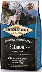 Carnilove Salmon Adult 12kg Hrană Uscată fără Cereale pentru Câini Adulți cu Somon