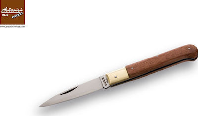 Antonini Pocket Knife Brown with Blade made of Stainless Steel