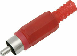 Lz RCA male Connector 1pc