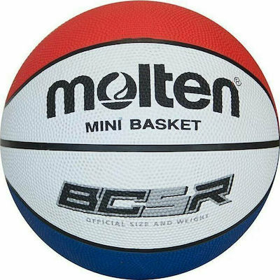 Molten Basket Ball Indoor/Outdoor