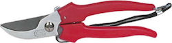Paolucci Coltellerie 363 Baumschere