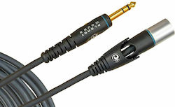 Planet Waves PW-GMMS-10 XLR male - 6.3mm male
