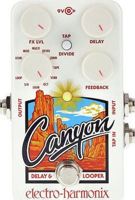 Electro-Harmonix Canyon Delay Pedals EffectLooper Electric Guitar and Electric Bass