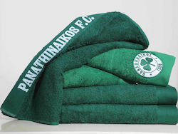 Panathinaikos Pânză de față Panathinaikos FC 1908 50x100cm. Verde Greutate 500gr/m²