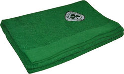 Panathinaikos Προσώπου Panathinaikos FC 1908 50x100εκ. Βάρους 500gr/m²