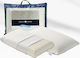 Greco Strom Standard Kopfkissen Latex 40x60x14cm