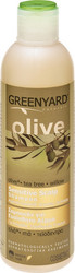 Greenyard Olive, Willow & Tea Tree Shampoos Against Dandruff for Fragile, Αντι-Θραύση Hair 250ml