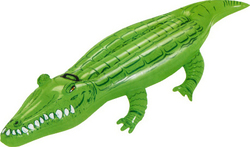 Bestway Inflatable for the Sea with Handles Green