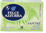 Felce Azzurra Fresco Soap Soap Bar 100gr