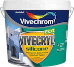 Vivechrom Vivecryl Silicone Eco Plastic Ecological Acrilyc Paint for Exterior Use White 10lt