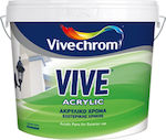 Vivechrom Vive Acrylic Plastic Vopsea pentru Utilizare Extern 9lt