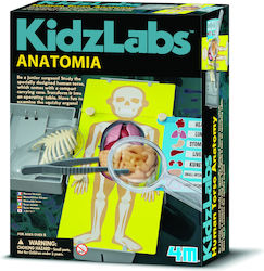 4M Ανατομία Laboratory for 8+ Years Old