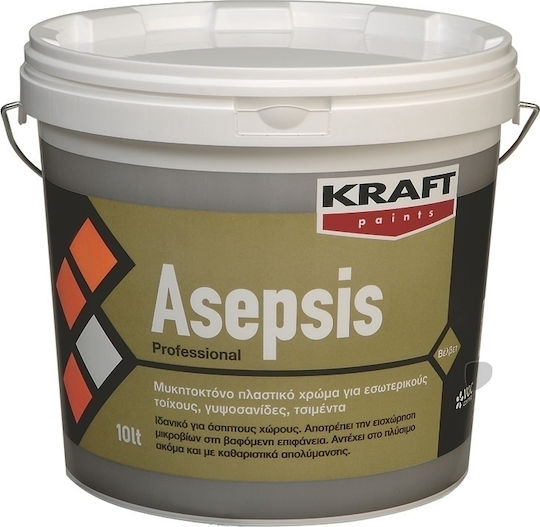 Kraft Asepsis Plastic Anti-Mildew Paint for Interior Use 10lt