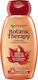 Garnier Botanic Therapy Maple Healer Shampoos Reconstruction/Nourishment for Damaged Hair 400ml