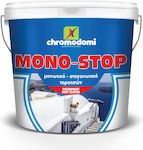 Χρωμοδομή Mono-stop Acrylic Insulating Sealing 10lt White