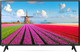 LG Fernseher 32" Direkte LED 32LJ500U (2017)