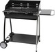 Somagic Giga Charcoal Grill 76cmx32cm