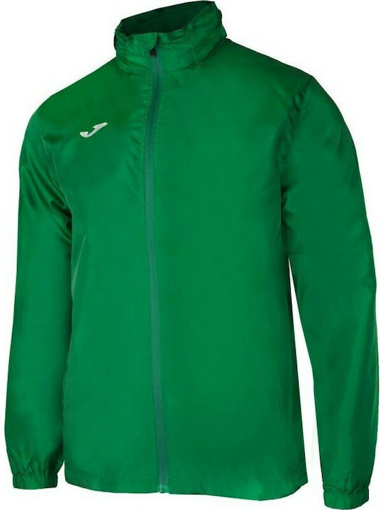 Joma Herren Jacke Winddicht Grün