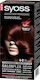 Syoss Permanent Coloration Hair Dye 4-2 Akazoo ...