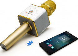 Technaxx Kabelloses Mikrofon Karaoke BT-X31