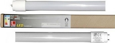 Adeleq Becuri LED Tip Fluorescent 150cm pentru Soclu G13 și Formă T8 Alb natural 2200lm 1buc