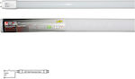 Adeleq Λάμπα LED Τύπου Φθορίου 150cm για Ντουί G13 και Σχήμα T8 Ψυχρό Λευκό 2300lm