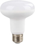 Diolamp LED-Glühbirnen für Sockel E27 und Form R80 Naturweiß 1280lm 1Stück