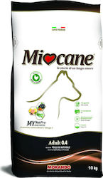 Morando Miocane Adult 0.4 Morando Miocane Adult 0.4