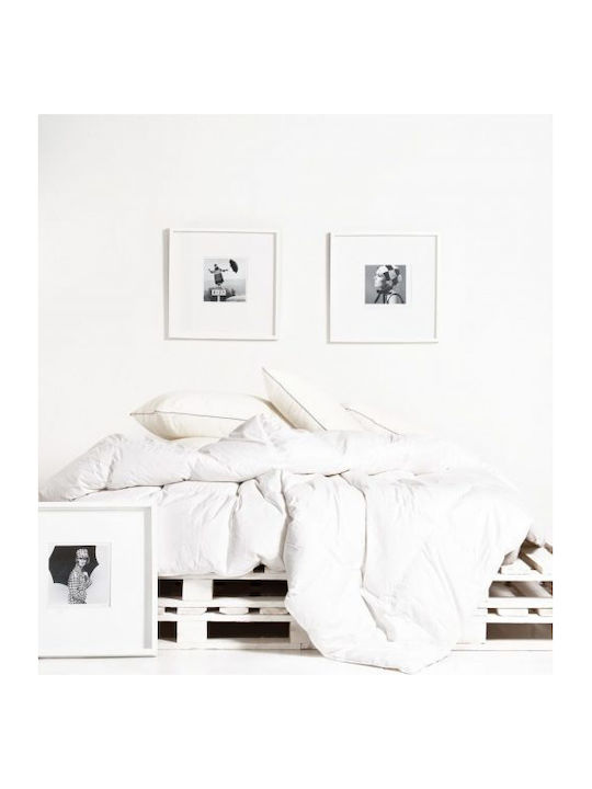Kentia Duvet King Size Down 260x240cm Golden Down White 950 GSMGsm 10.5 togs Togs