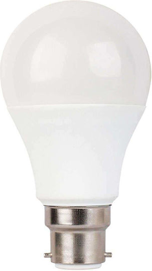 Diolamp LED Bulb 13W 111mm for Socket B22 and Shape A60 Cool White 1240lm