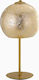 Fan Europe Vanity Metal Table Lamp for Socket E27 with Gold Shade and Base