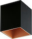 Eglo Polasso Single Spot in Black Color