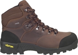 Aigle Altavio GTX LTR in Braun Farbe