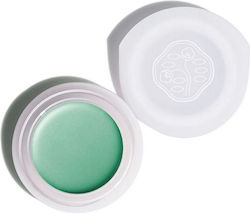 Shiseido Paperlight Cream Eye Color Fard de Ple...