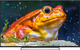 Toshiba Smart Fernseher 55" 4K UHD Direkte LED 55U6763DG (2017)